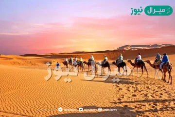 المرزوقي وش يرجع