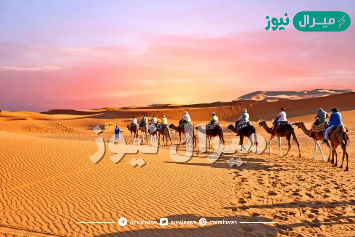 المرزوقي وش يرجع