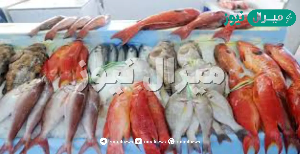 أنواع السمك في السعودية