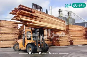 اهم مراكز انتاج الاخشاب في شرقي افريقيا