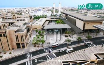 اين تقع جامعة الملك عبدالله للعلوم والتقنية