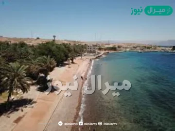 اين يقع شاطئ حقل في السعودية