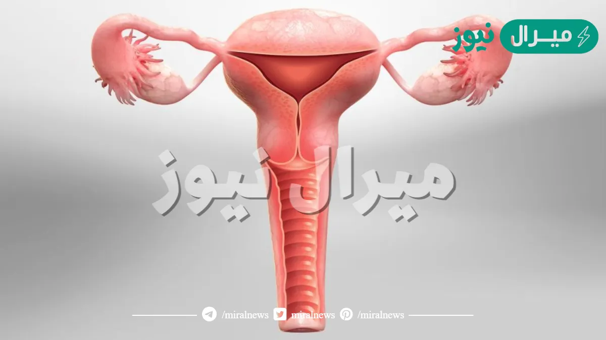 تجربتي مع استئصال الرحم | متى يسمح بالجماع بعد استئصال الرحم