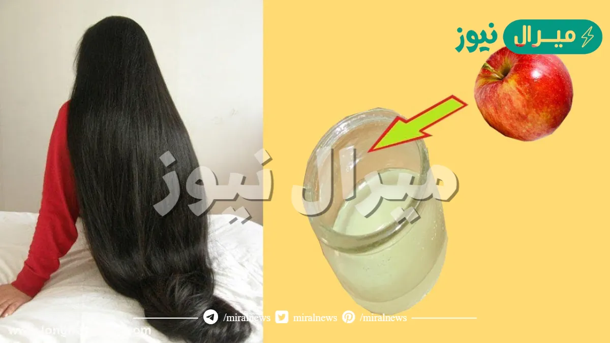 تجربتي مع خل التفاح لتطويل الشعر وتنعيمه – خل التفاح للشعر الجاف والخشن