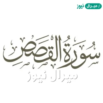تحدثت سورة القصص عن قصة كل من