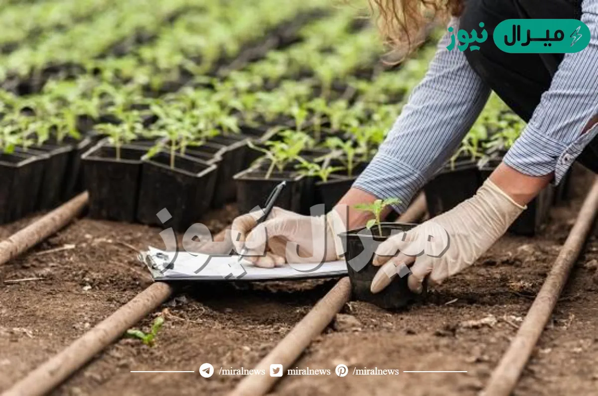 تخصص العلوم الزراعية والاغذية