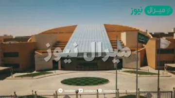 تخصصات جامعة المعرفة العالمية