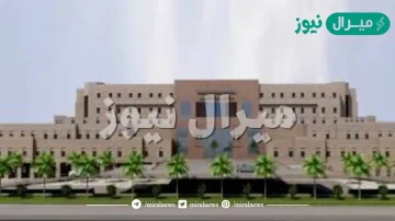 تخصصات جامعة طيبة فرع العلا