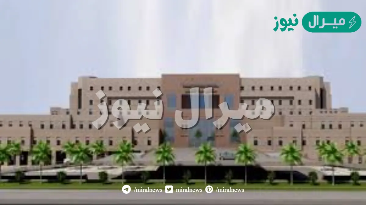تخصصات جامعة طيبة فرع العلا