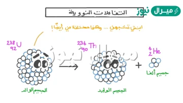 تصبح الأنوية أقل استقراراً كلما اقترب عددها الكتلي من العدد الكتلي للحديد
