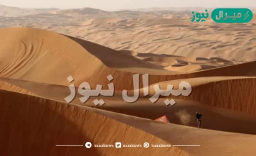 تغطي المناطق الرملية ثلث مساحة المملكة العربية السعودية