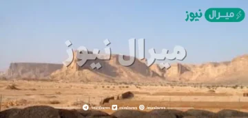 تقع هضبة الصمان في المملكة العربية السعودية