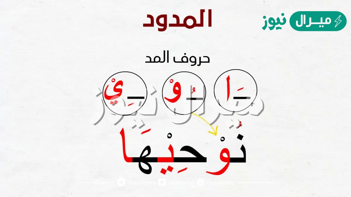 حروف المد هي