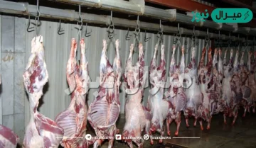 دوام المسالخ في رمضان السعودية