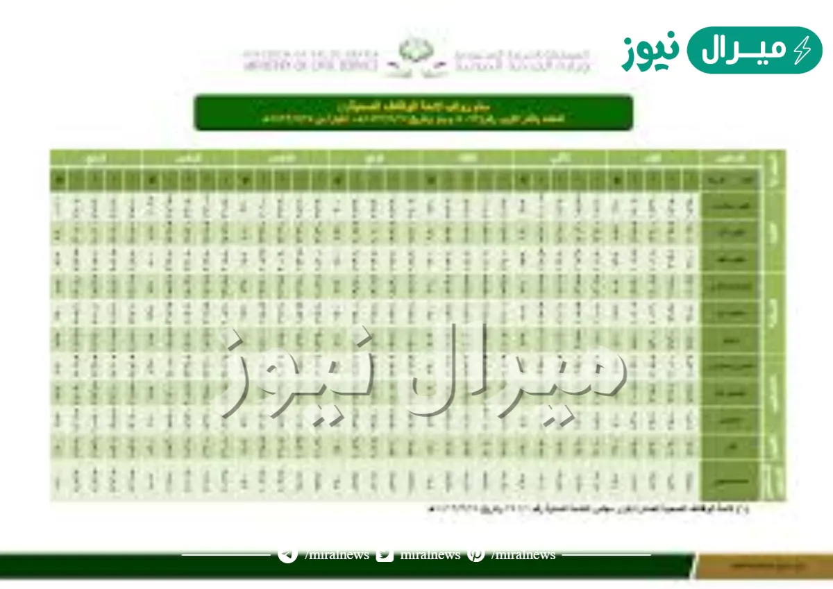 سلم رواتب الموظفين بعد الخصخصة
