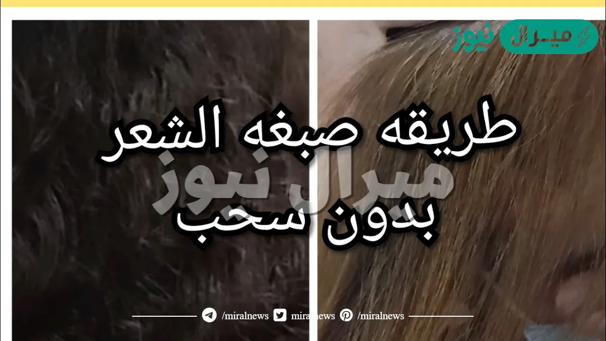 صبغ الشعر الاسود بدون سحب لون