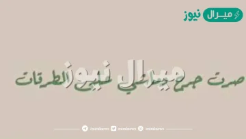 صرت جرح وماشي على الطرقات كلمات