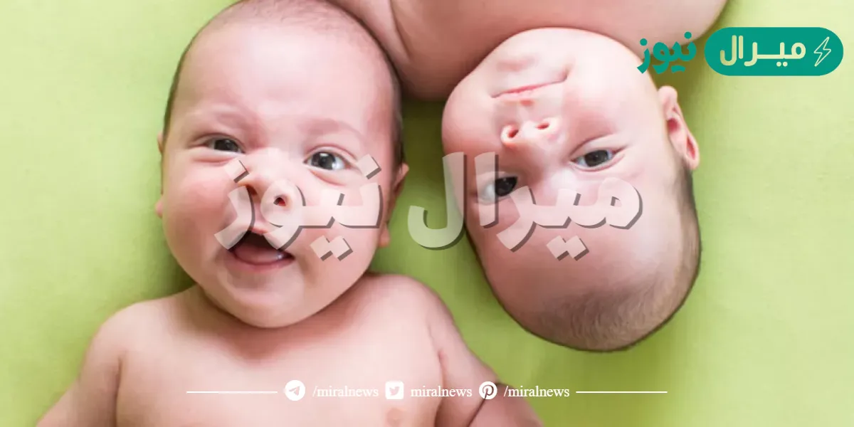 طريقة الحمل بتوأم مجربة