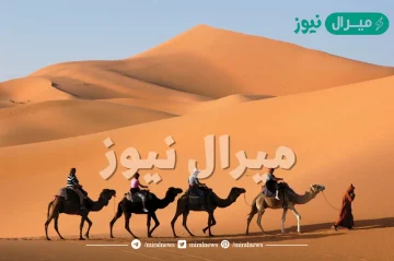 عائلة الزبن من وين