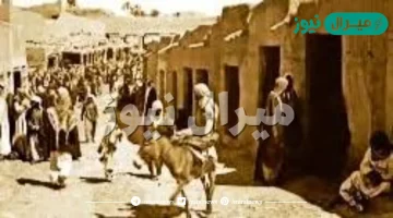 عائلة بنوي من وين – بنوي وش يرجعون