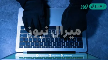 عباره عن برامج حاسوبيه ضاره مصممه للاضرار بالحاسب وتنتقل بين الحواسيب بعده طرق