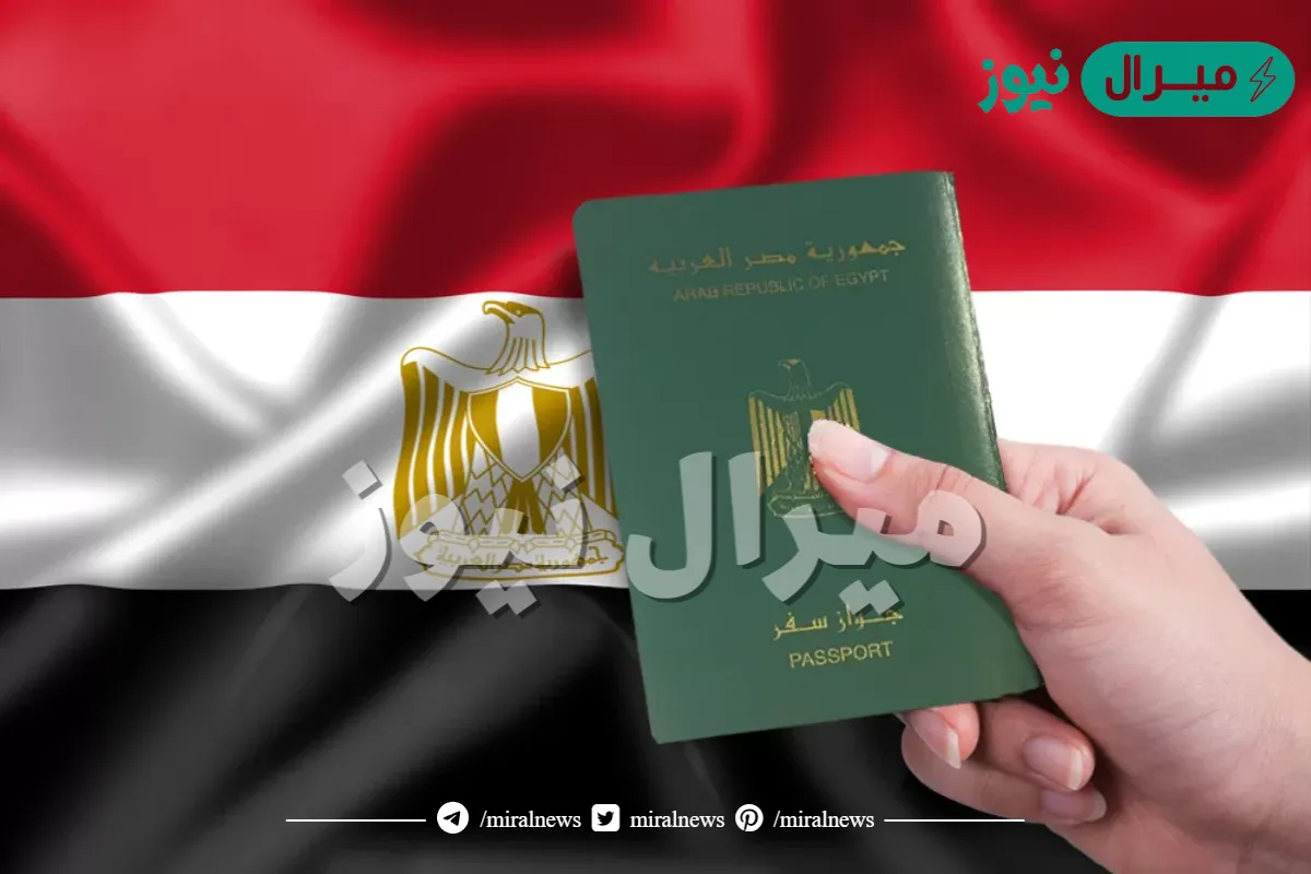 عدد المصريين في الخارج