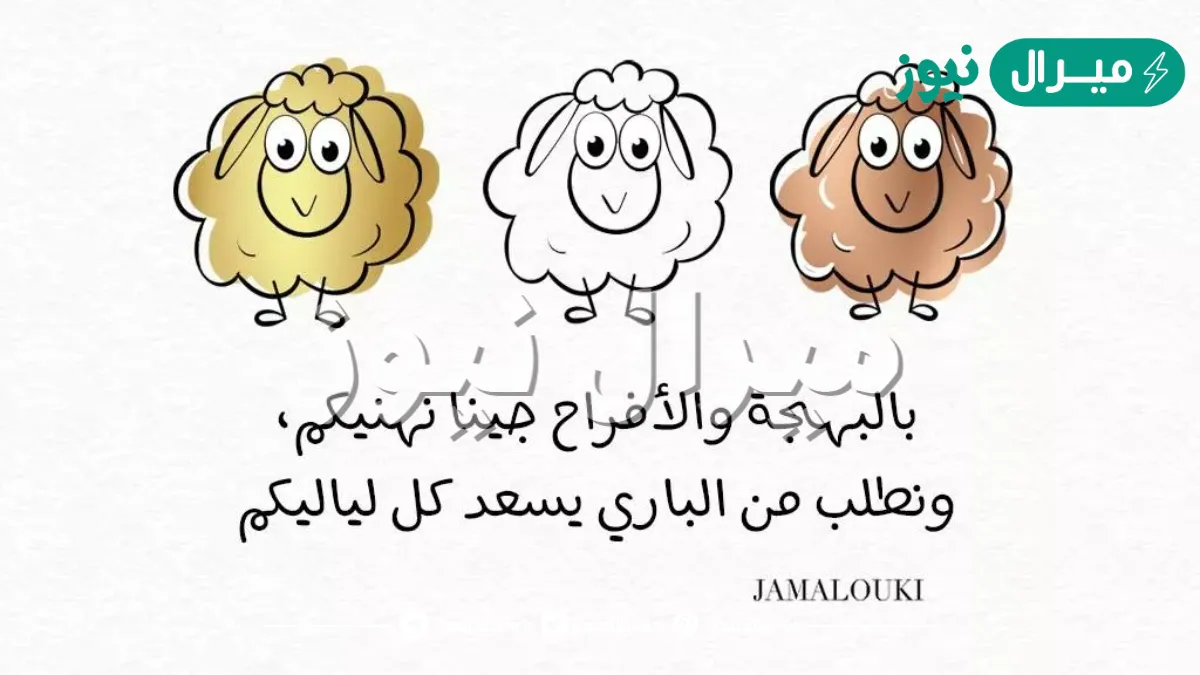 كلام جميل عن عيد الأضحى
