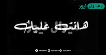 كلمات اغنيه هانت عليك