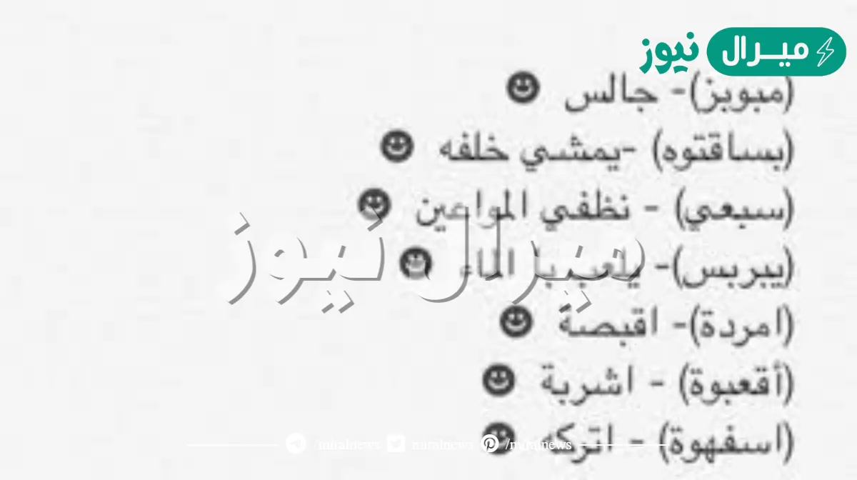 كلمات قصيميه ومعناها