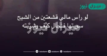 كلمات لو راس مالي قشعتين من الشيح