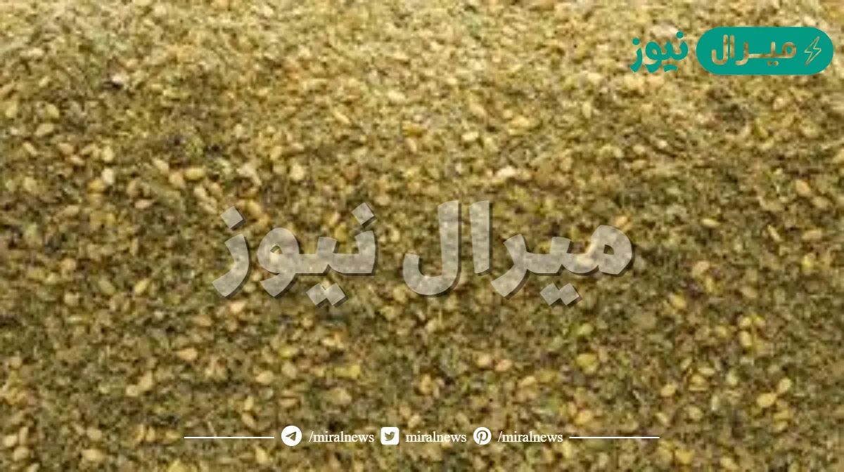 كم سعرة حرارية في الزعتر مع السمسم ؟