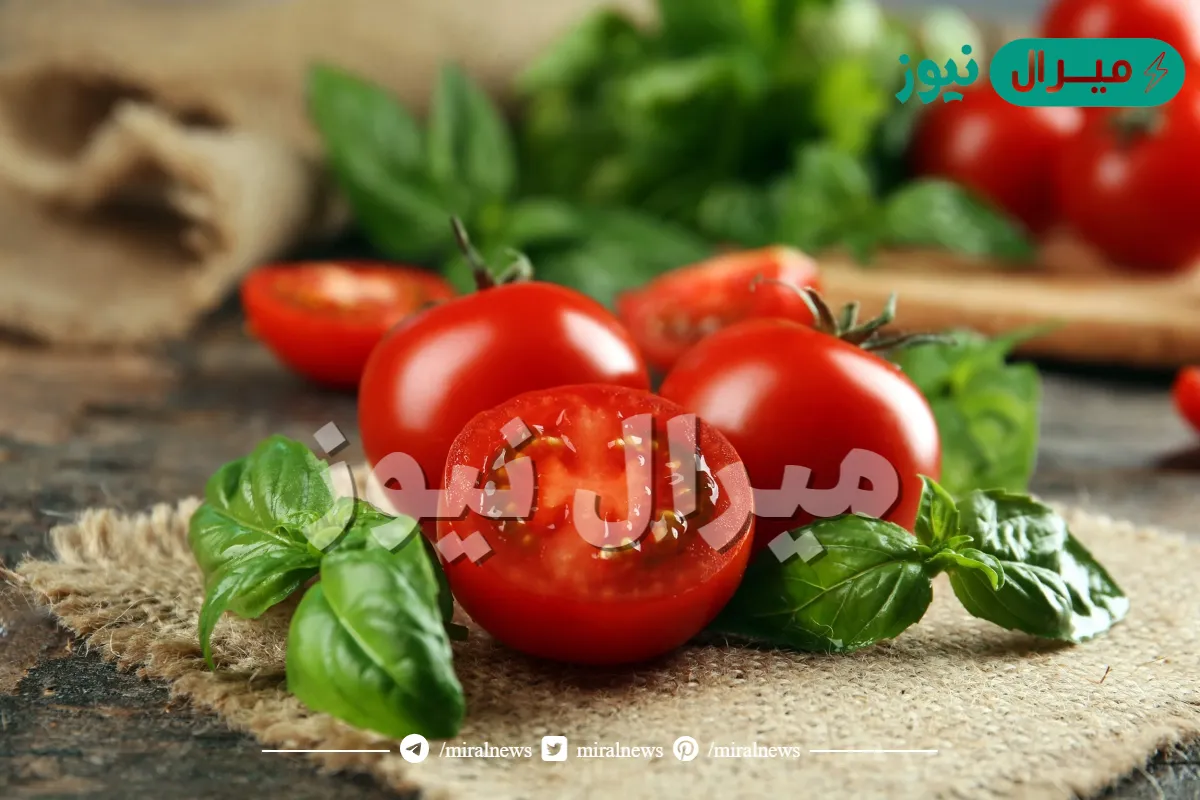 كم سعرة حرارية في الطماطم ؟
