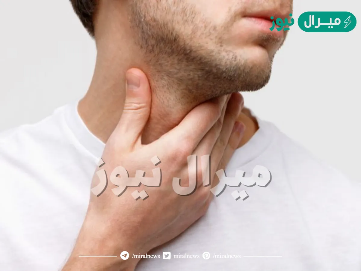 كم عدد الحبال الصوتية