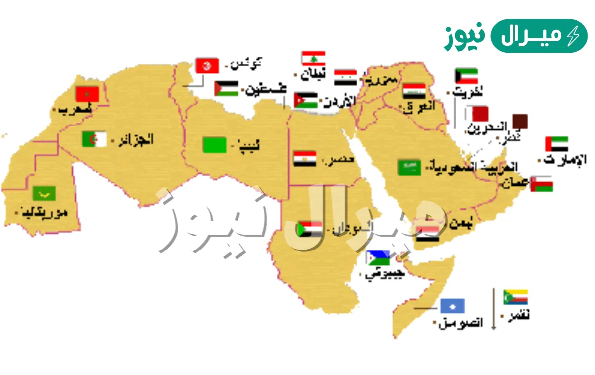 كم عدد الدول الناطقة باللغة العربية