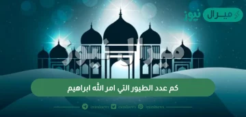 كم عدد الطيور التي امر الله ابراهيم