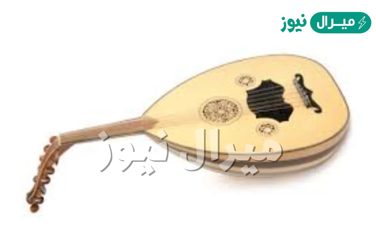 كم عدد اوتار العود التقليديه