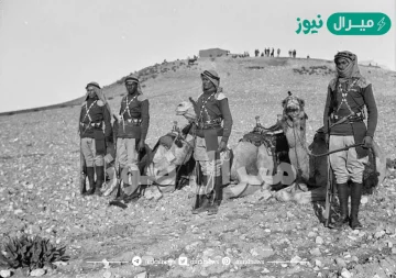 كم عدد قبيلة حرب