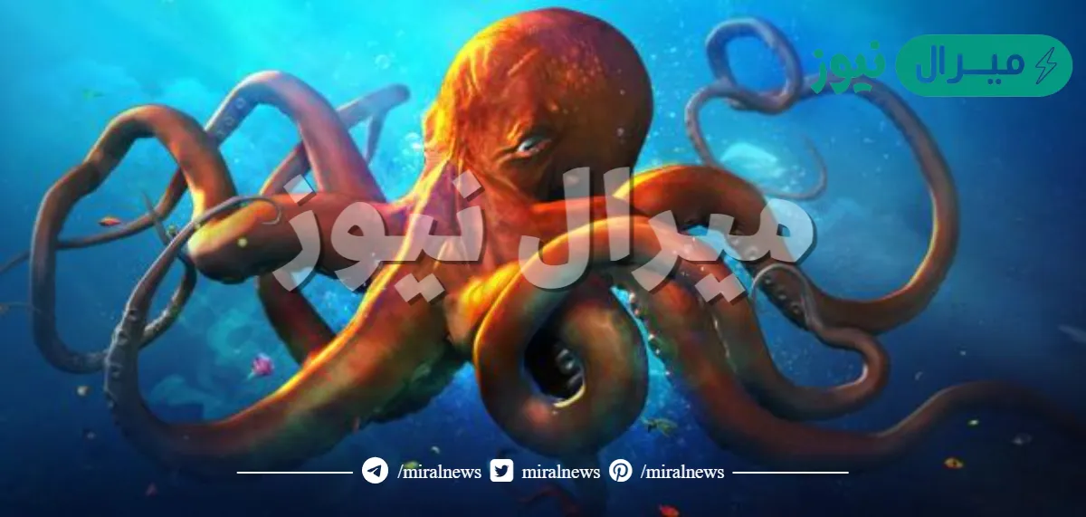 كم عدد قلوب الاخطبوط