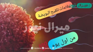 كيف اعرف ان البويضة لم تلقح