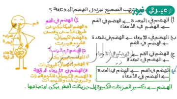 كيف تتغير الكربوهيدرات والبروتينات في اثناء عملية الهضم
