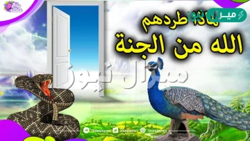 لماذا طرد الطاووس والافعى من الجنة