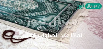 لماذا عدد الصلوات خمس
