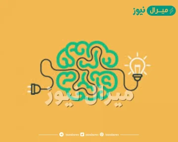 ما الذي يعتبر مكونا اساسيا للاعمال