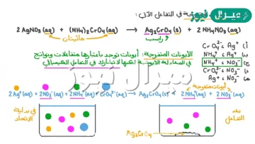 ما المقصود بالأيونات المتفرجة