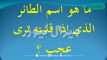 ما هو اسم الطائر الذي اذا قلبته ترى عجب