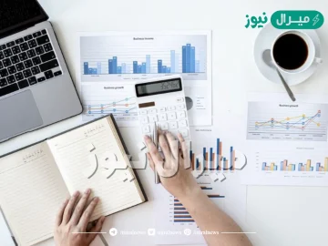ما هو تخصص الاقتصاد