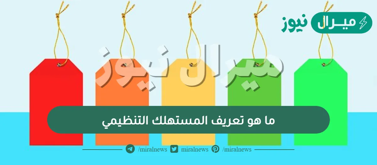 ما هو تعريف المستهلك التنظيمي