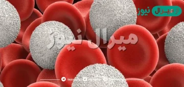ما هو لون كريات الدم البيضاء