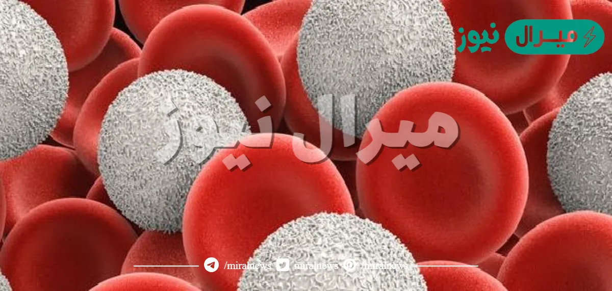 ما هو لون كريات الدم البيضاء