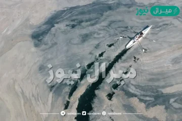 ما هو مخاط البحر